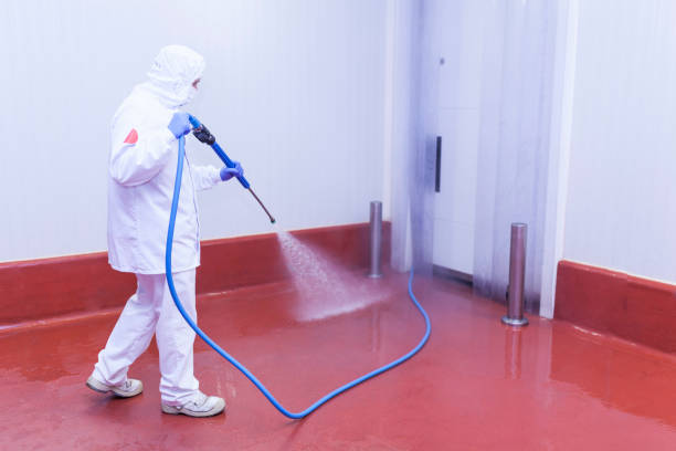 Best Oil Spill Cleanup  in East Douglas, MA