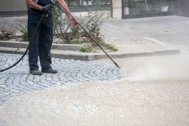 Best Driveway Pressure Washing  in East Douglas, MA