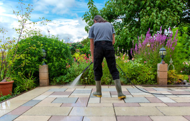 Best Animal Enclosure Cleaning  in East Douglas, MA